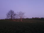 2020-04-21_20-40-46_IMG_20200421_204044959.jpg