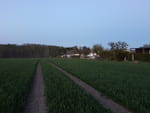 2020-04-23_20-36-09_IMG_20200423_203607410.jpg