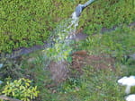Photos