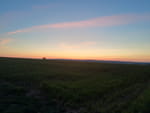 2020-05-06_20-54-57_IMG_20200506_205456862_HDR.jpg