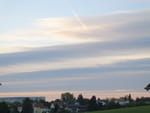 2020-05-07_05-48-29_S0393468.jpg