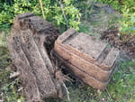 Photos