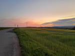 Photos