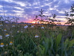 Photos