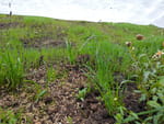 Photos