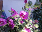 2020-06-13_20-51-05_IMG_20200613_205104820.jpg