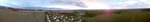 2020-06-15_20-37-31_MOV_0005_F2667-pan.jpg