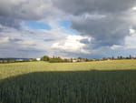 Photos