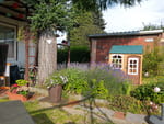 Photos