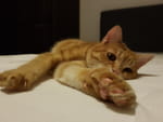 Photos