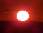 2020-07-12_05-19-07_S0354150.jpg
