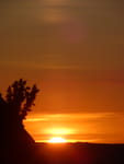 2020-07-13_05-17-18_S0424162.jpg