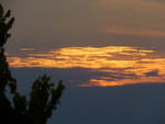2020-07-17_05-29-00_S0574206.jpg