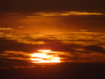 2020-07-17_05-33-30_S0764237.jpg