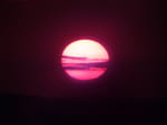 2020-07-19_05-28-21_S0974320.jpg