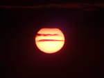2020-07-19_05-36-48_S0165023.jpg