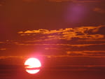 2020-07-19_05-39-32_S0295044.jpg