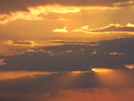 2020-07-29_05-50-39_S0985546.jpg