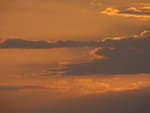 2020-07-29_05-51-19_S0036006.jpg