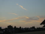 2020-07-30_05-37-47_S0276052.jpg