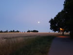 2020-07-31_21-22-46_IMG_20200731_212243650.jpg