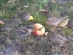 Photos
