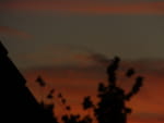 2020-08-20_05-45-20_S0466346.jpg