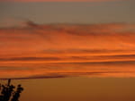 2020-08-20_05-46-39_S0506355.jpg
