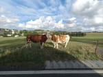 2020-08-22_18-02-00_DJI_0052.jpg