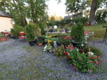 2020-08-22_19-50-12_DJI_0077.jpg