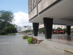 2020-08-23_12-49-05_P2040342.jpg