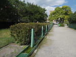 2020-08-23_12-53-11_P2040348.jpg