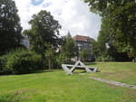 2020-08-23_13-00-30_P2040350.jpg