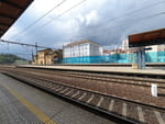 2020-08-23_14-15-31_DJI_0169.jpg