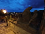 2020-08-23_20-31-56_DJI_0256.jpg