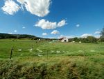 2020-08-26_15-14-11_DJI_0524.JPG