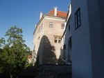 2020-08-26_18-13-41_P2040895.JPG