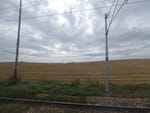 2020-08-28_13-07-03_DJI_0872.jpg