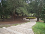 2020-08-31_12-45-48_P2050351.jpg