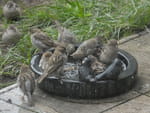 Photos