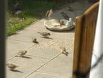 Photos