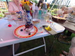 Photos