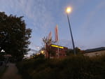 2020-09-08_19-59-20_DJI_0303.jpg