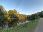 2020-09-15_18-16-27_DJI_0876-hdr.jpg