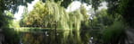 2020-09-17_15-46-46_P2060290-pan.jpg