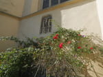 2020-09-20_11-52-45_P2060457.jpg
