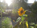 2020-09-22_17-13-38_P2060750.jpg