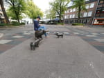 2020-09-24_17-41-55_DJI_0350.jpg