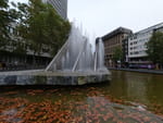 2020-09-24_19-10-37_DJI_0416.jpg