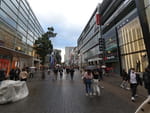 2020-09-25_17-58-28_DJI_0459.jpg
